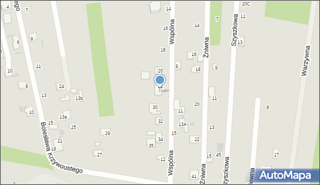 Sochaczew, Wspólna, 22A, mapa Sochaczew
