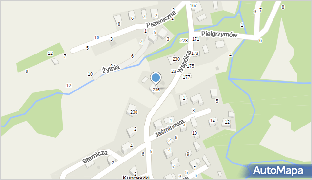 Świnna, Wspólna, 236, mapa Świnna
