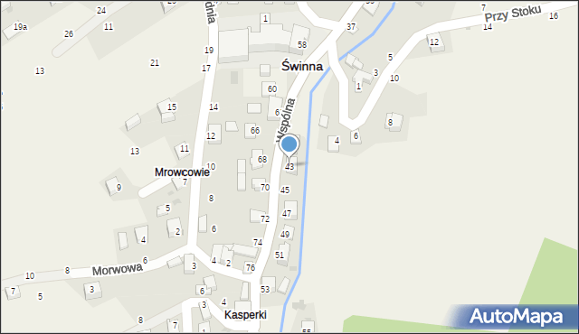 Świnna, Wspólna, 43, mapa Świnna
