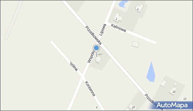 Tokary, Wspólna, 1, mapa Tokary