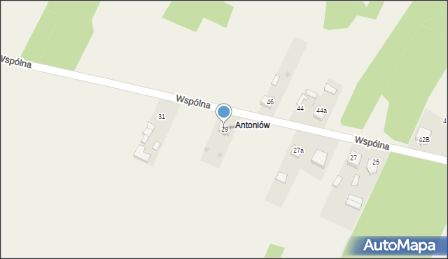 Widzów, Wspólna, 29, mapa Widzów