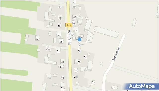 Witów, Wspólna, 58, mapa Witów