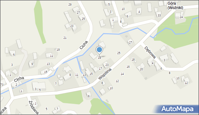 Woźniki, Wspólna, 19, mapa Woźniki