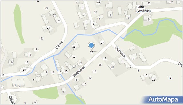 Woźniki, Wspólna, 25, mapa Woźniki