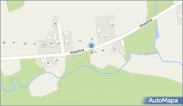 Woźniki, Wspólna, 46, mapa Woźniki
