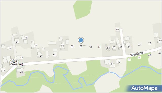 Woźniki, Wspólna, 57, mapa Woźniki