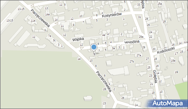 Zgierz, Wspólna, 9, mapa Zgierz