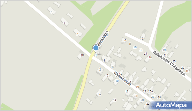 Myszków, Wyzwolenia, 1, mapa Myszków