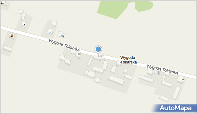 Wygoda Tokarska, Wygoda Tokarska, 7, mapa Wygoda Tokarska