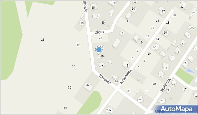 Korwinów, Zaniwie, 49, mapa Korwinów