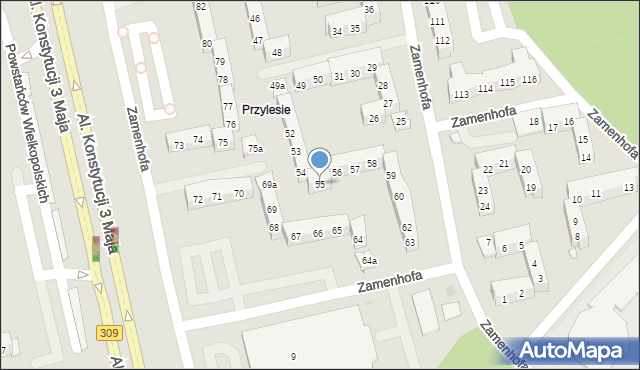 Leszno, Zamenhofa Ludwika, dr., 55, mapa Leszno