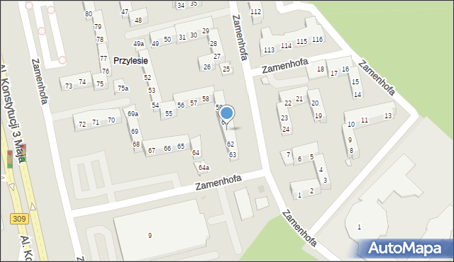 Leszno, Zamenhofa Ludwika, dr., 61, mapa Leszno