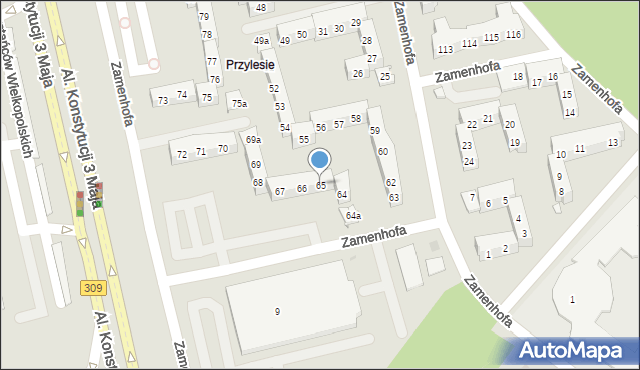 Leszno, Zamenhofa Ludwika, dr., 65, mapa Leszno