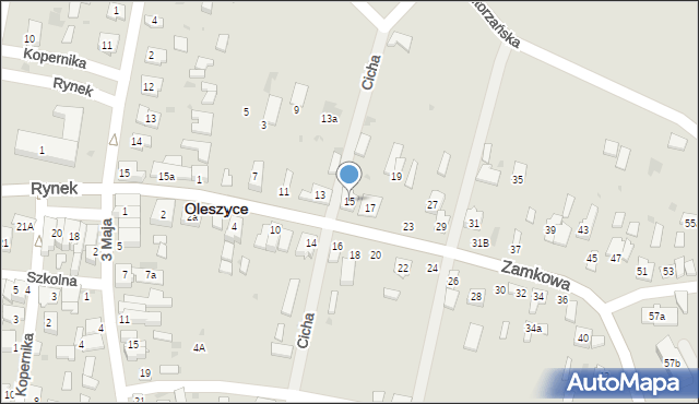 Oleszyce, Zamkowa, 15, mapa Oleszyce