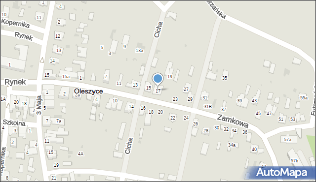 Oleszyce, Zamkowa, 17, mapa Oleszyce