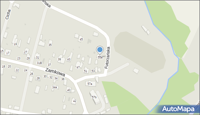 Oleszyce, Zamkowa, 55a, mapa Oleszyce