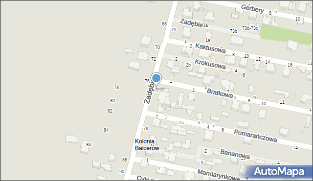 Skierniewice, Zadębie, 77, mapa Skierniewic