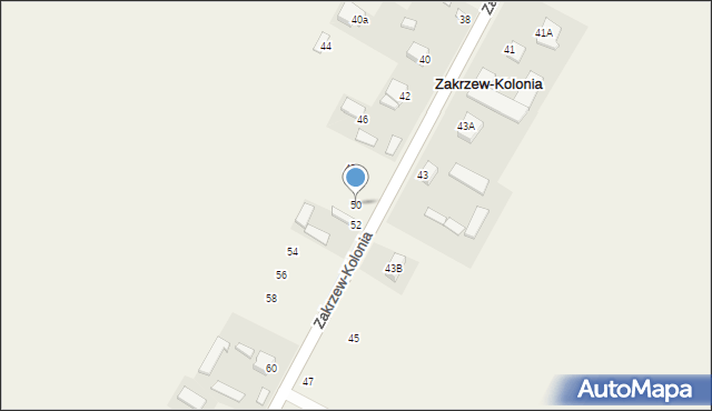 Zakrzew-Kolonia, Zakrzew-Kolonia, 50, mapa Zakrzew-Kolonia