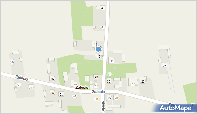 Zalesie, Zalesie, 45, mapa Zalesie