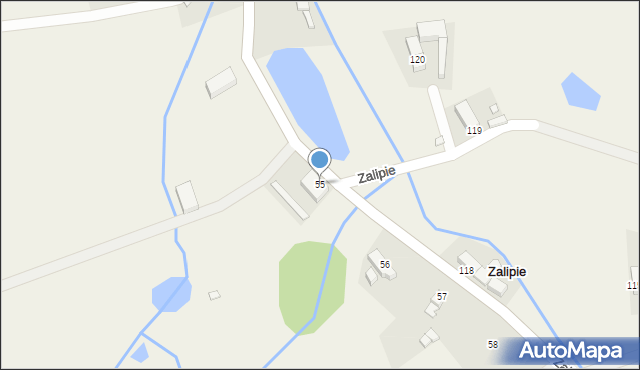 Zalipie, Zalipie, 55, mapa Zalipie