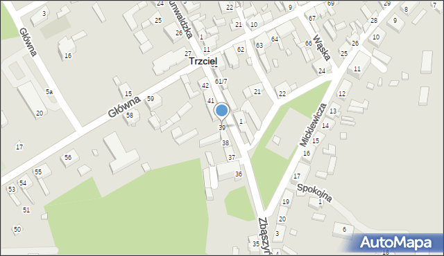 Trzciel, Zbąszyńska, 39, mapa Trzciel