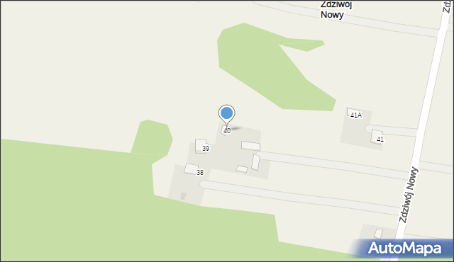Zdziwój Nowy, Zdziwój Nowy, 40, mapa Zdziwój Nowy