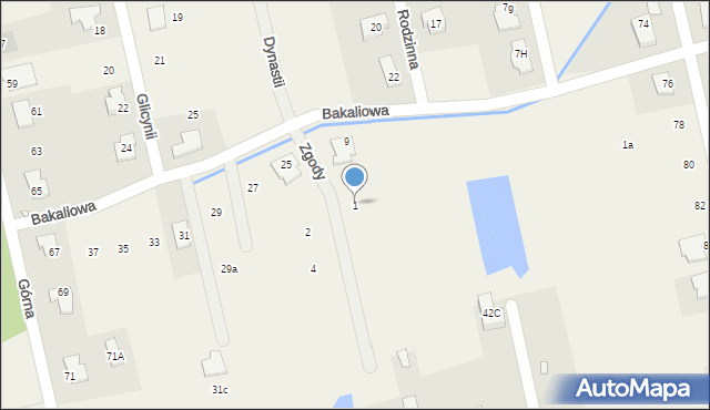 Rusiec, Zgody, 1, mapa Rusiec