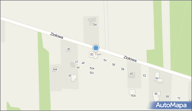 Dziechciniec, Ziołowa, 52, mapa Dziechciniec