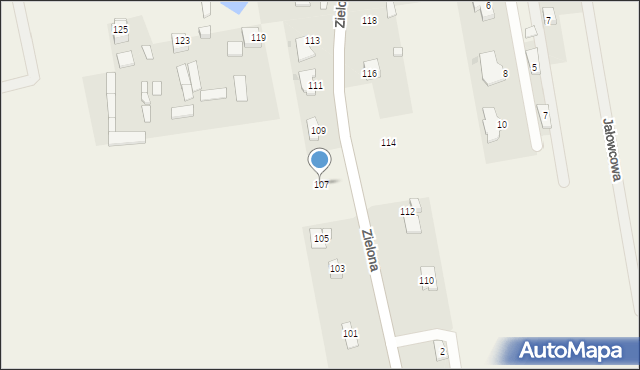 Janiszew, Zielona, 107, mapa Janiszew