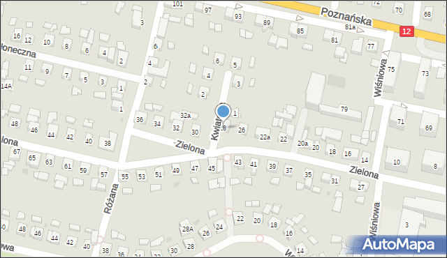 Pleszew, Zielona, 28, mapa Pleszew