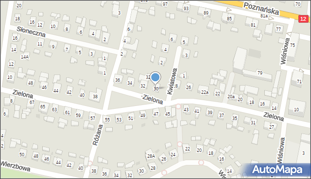 Pleszew, Zielona, 30, mapa Pleszew