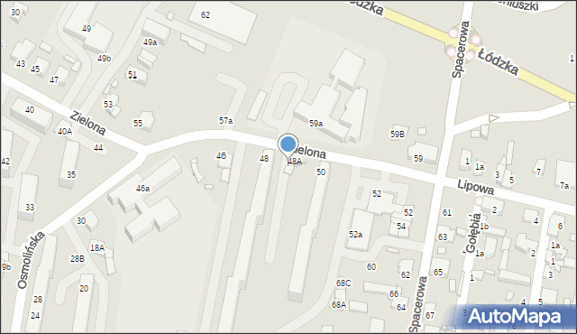 Zduńska Wola, Zielona, 48B, mapa Zduńska Wola
