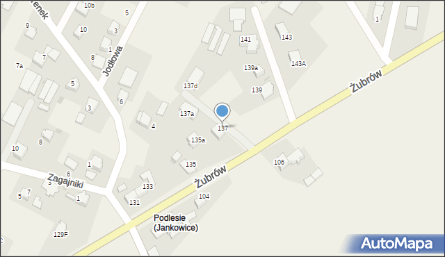 Jankowice, Żubrów, 137, mapa Jankowice