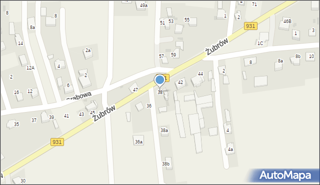 Jankowice, Żubrów, 38, mapa Jankowice
