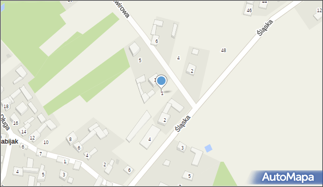 Zabijak, Żwirowa, 1, mapa Zabijak