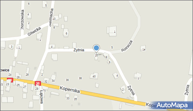 Głubczyce, Żytnia, 10, mapa Głubczyce