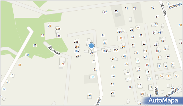 Kopalino, Żytnia, 25, mapa Kopalino