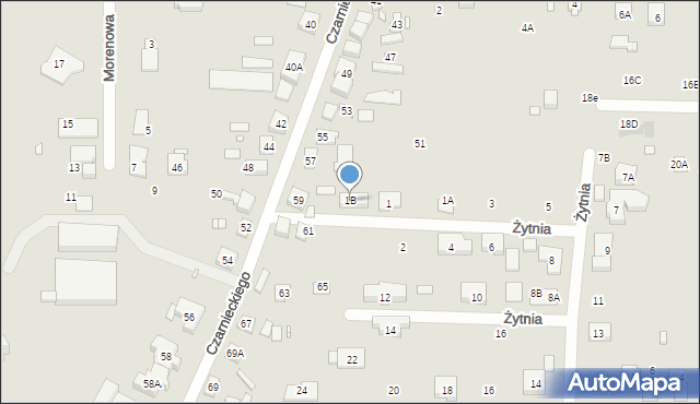Puszczykowo, Żytnia, 1B, mapa Puszczykowo