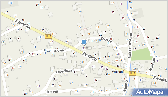 Świnna, Żywiecka, 41, mapa Świnna
