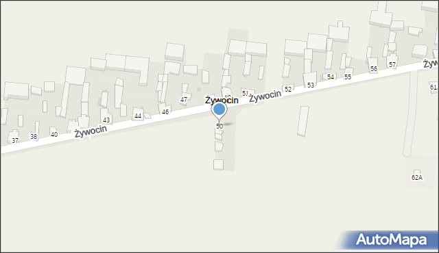 Żywocin, Żywocin, 50, mapa Żywocin