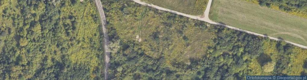 Zdjęcie satelitarne 11 Listopada ul.