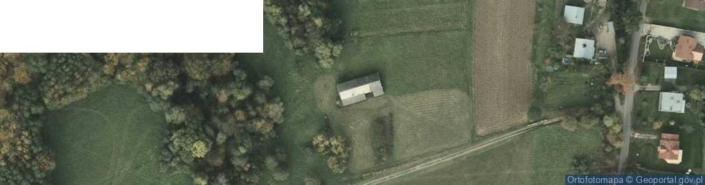 Zdjęcie satelitarne 11 Listopada ul.