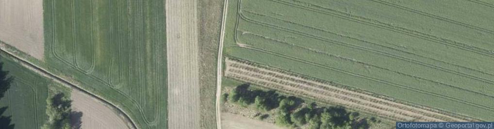 Zdjęcie satelitarne 11 Listopada ul.