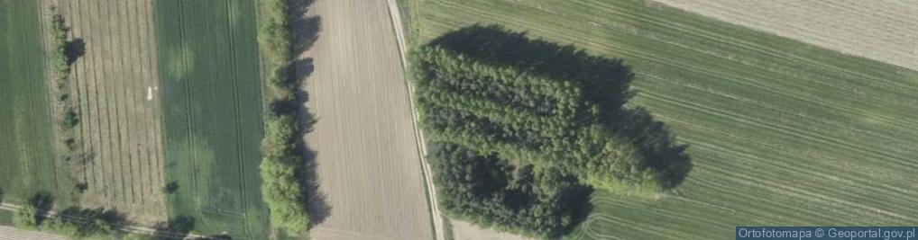 Zdjęcie satelitarne 11 Listopada ul.