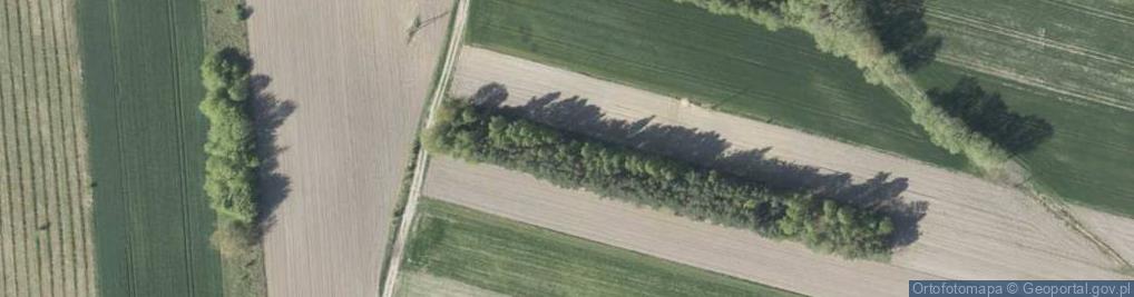 Zdjęcie satelitarne 11 Listopada ul.