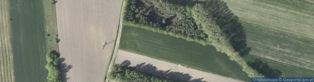 Zdjęcie satelitarne 11 Listopada ul.