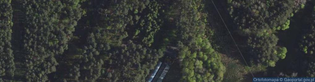 Zdjęcie satelitarne 1 Maja ul.