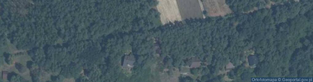 Zdjęcie satelitarne Adamów ul.