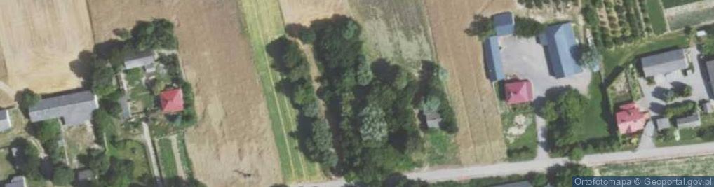 Zdjęcie satelitarne Adamów ul.
