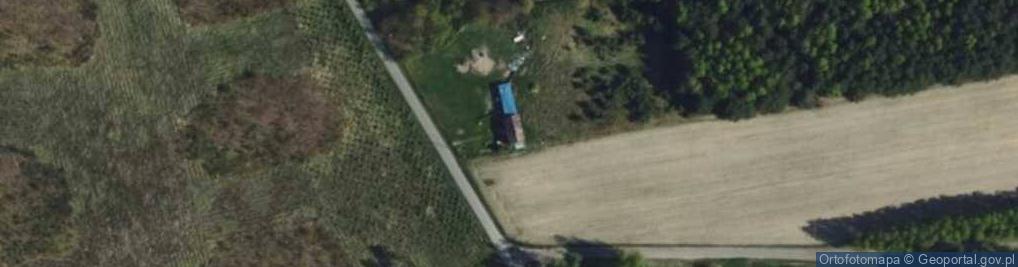 Zdjęcie satelitarne Adamów ul.